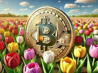 Bitcoin vs. Tulip Mania: Why the Comparison Wilts Under Scrutiny - come, tulip, bitcoin