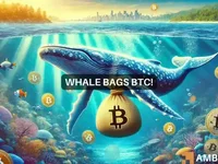 Bitcoin whale bags BTC worth $31 million – Are the bulls back? - worth, bitcoin, million