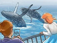 Bitcoin whale transactions see ‘noticeable’ drop since March price peak - whale, bitcoin