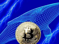 Bitcoin Whale Turned $120 Into $179 Million—All It Took Was HODLing for 14 Years - whale, bitcoin