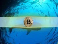 Bitcoin Whales Accumulated $22.8 Billion in BTC Despite Market Drop - whales, btc