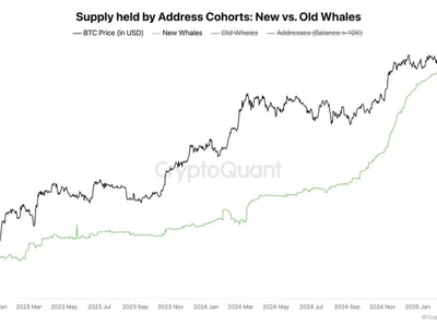 Bitcoin Whales Are Back—Could This Be the Catalyst for the Next Rally? - bitcoin, Crypto, NewsBTC, chart, btc