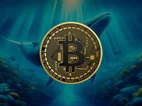 Bitcoin Whales Buy the Dip: Massive Accumulation Following Price Drop - whales, btc, etf, bitcoin