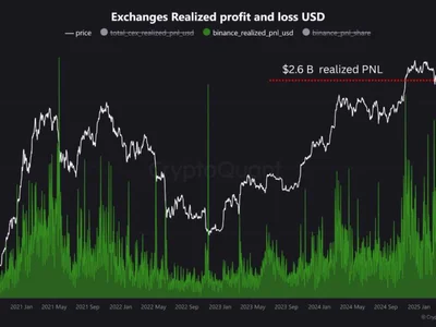 Bitcoin Whales Just Realized $2.6B In Profit, Is the Market About to Crack or Soar? - pnl, bitcoin, dent, Crypto, may, chart, second, NewsBTC