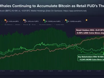 Bitcoin Whales Scoop Up Over $127M in BTC as Retail Sells—Can BTC Price Break Above $67,000?