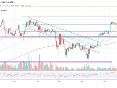 Bitcoin Will Soar, Altcoins Won’t—Charles Edwards Explains Why - ftx, quantum, Crypto, NewsBTC, bitcoin, like