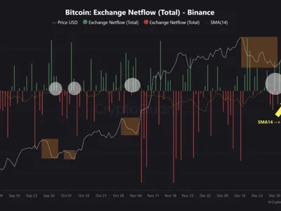 Bitcoin’s brief rally to $100K triggers record 5.4K BTC monthly outflow - 2024, btc, Crypto, bitcoin, eq, Cointelegraph, ath