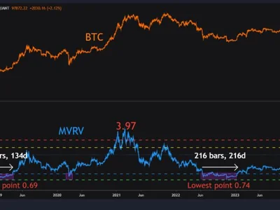 Bitcoin’s Bull Cycle: Analyst Says The Upside Isn’t Over Yet - NewsBTC, bitcoin, dan, bull, ath, Crypto, chart, btc, trump