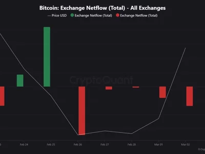 Bitcoin’s Exchange Flows Indicate Changing Investor Behavior—What’s Next? - btc, NewsBTC, Crypto, chart, term, bitcoin