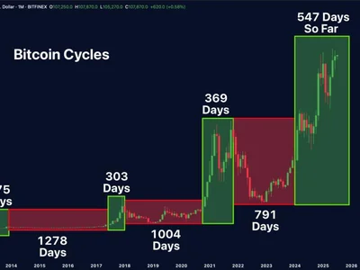  Bitcoin's four-year market cycle isn't dead — Xapo Bank CEO  - Cointelegraph, Crypto, breed, bitcoin, vc