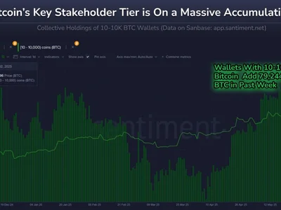 Bitcoin’s Key Investors Double Down, Buy Another 79,000 BTC - NewsBTC, btc, ath, Crypto, bitcoin