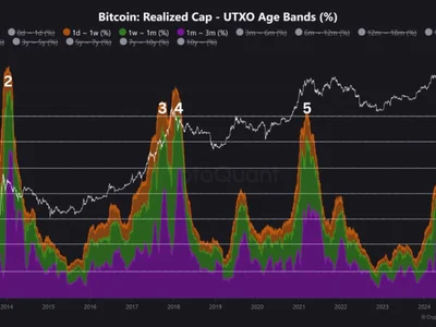 Bitcoin’s Next Move: A Final Leg Up or Just the Beginning? Analyst Weighs In - NewsBTC, tech, bitcoin, btc, Crypto, chart, utxo