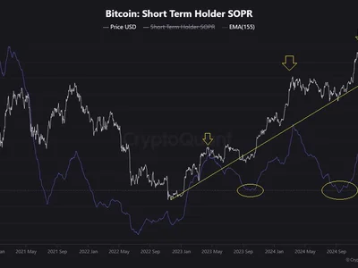 Bitcoin’s SOPR Nears Critical Level—Is a Deeper Correction Ahead? - NewsBTC, chart, ath, bitcoin, Crypto, btc