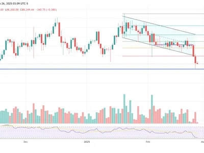 Bitwise CIO: Crypto Looks Like July 2024—Here’s What Happened Next - solana, defi, Crypto, donald trump, NewsBTC, trump, long, memecoin, libra, crypto, one, bitcoin, second, term, stablecoin, ethereum