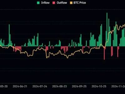BlackRock Bitcoin ETF clocks 16 days of inflow as BTC reclaims $97K - bitcoin, zero, Crypto, ibit, fund, etf, four, Cointelegraph, spot, may