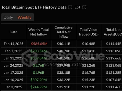 BlackRock’s Bitcoin ETF Faces Headwinds Due to Stock Market Correlation - ETFs, 2024, million, etf, bitcoin, ibit, sec, Crypto, Beincrypto