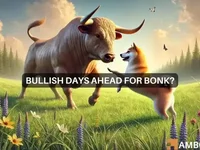 BONK coin surges 13% in 24 hours: Will positive sentiment persist? - bonk