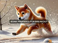 BONK price prediction: What the next 30 days could hold - bonk