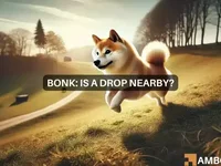 BONK update: Rebound or retreat? Key indicators show mixed outlook - bonk