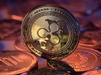 Brad Garlinghouse Defends Ripple Co-Founder's Donation To Kamala Harris While Top Crypto Analyst Throws XRP 'Securities' Jibe - xrp