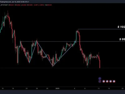 BTC koers verwachting: Bitcoin koers onderuit na afwijzing  $102k resistance – gaat BTC dalen naar $88k? - trump, best, de, dan, kan, near protocol, donald trump, bull, internet computer, NewsBTC, bitcoin, ada, meme, icp, bnb, Crypto, cardano, solx, eth, usdt