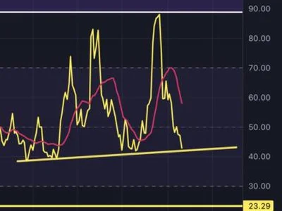 Buy Dogecoin Now? Analyst Says This Is the Spot - doge, dogecoin, Crypto, kevin, NewsBTC, one, crypto, donald trump, trump