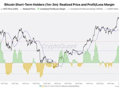 Can Bitcoin Hold $97K? – 1-3 Month Holders’ Data Reveals Crucial BTC Demand - NewsBTC, bitcoin, level, Crypto, btc