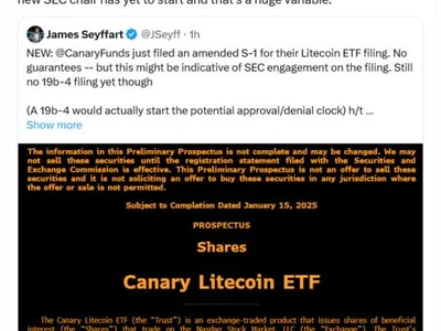 Canary’s amended S-1 has analysts more confident a Litecoin ETF is next - Cointelegraph, donald trump, canary, etf, solana, litecoin, Crypto, bitcoin, 2024, xrp, sec