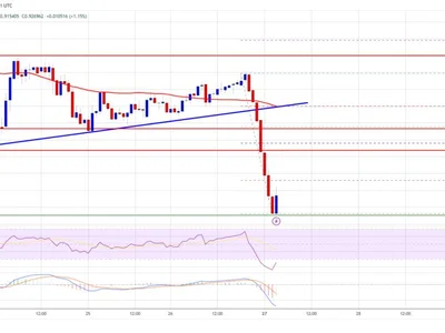 Cardano (ADA) In The Red: Struggles Persist Under $1.00 - ada, Crypto, 00, level, cardano, NewsBTC