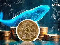 Cardano (ADA) Skyrockets 32,348% in Whale Netflows, What Next? - ada, whale