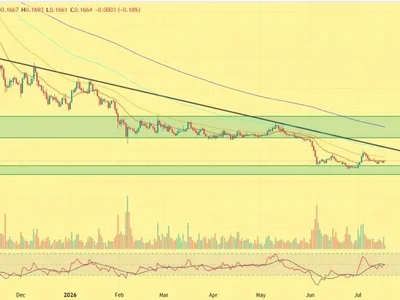 Cardano Price Rises 5%βAre Whales Preparing for a Bigger Rally?