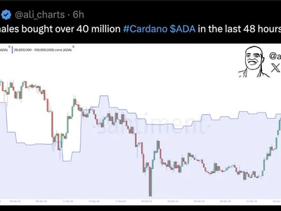 Cardano Price Witnesses Bullish Resurgence With 26% Rally — Here’s The Likely Catalyst - million, whales, NewsBTC, Crypto, ada, cardano