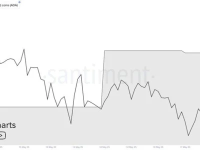 Cardano Whale Activity Spikes – 80 Million ADA Added In 48 Hours - ada, may, april, cardano, Crypto, NewsBTC