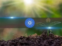 Cardano’s On-Chain Activity Soars as ADA Rockets Above $0.8 - chain, ada, strong