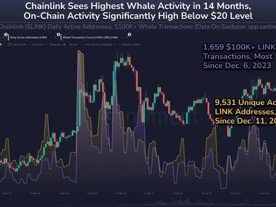 Chainlink Witnesses Highest Whale Activity Since 2023, Price Reversal Coming? - whale, dai, bnb, floki, NewsBTC, Crypto, chainlink