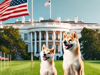 Coinbase CEO Backs DOGE – A Catalyst For Economic Freedom In The US - donald trump, doge