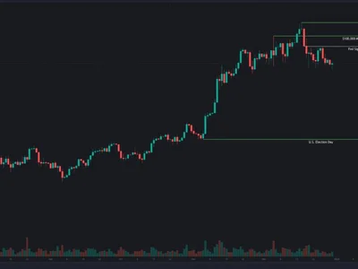 CoinEx Research December 2024 Report: Bitcoin’s Milestone Shaping the Crypto Market Trends - donald trump, data, coinex, trump, japan, Reuters, bitcoin, Crypto, amm