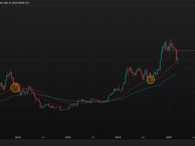 Crypto Daybook Americas: Gold's Historic Rally Brings Back BTC's 'Store of Value' Debate - Reuters, sec, dai, one, solana, pyth, tbc, usdt, gold, genesis, april, chainlink, ust, imx, tusd, ftn, stellar, fdusd, zano, eth, ai, trump, Crypto, horizon, aeur, million, ath, dao, cow, ustc, near protocol, aave, usdp, paws, mstr, bitcoin, glxy