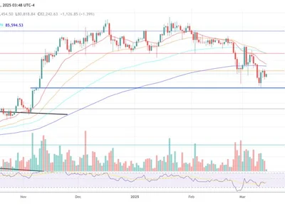 Crypto Faces Uncertain Future As Trump’s ‘Short-Term Pain’ Plan Unfolds - term, trump, NewsBTC, Crypto, tons, eth, america, doge, bitcoin