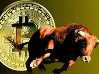 Crypto Stocks Rally As Bitcoin Crosses 84K, BTC Mining Stocks Join The Rally - btc, rally, trump, bitcoin, crypto