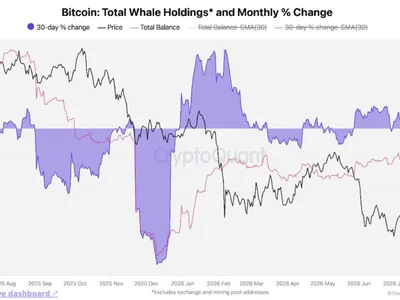 Crypto whales accumulate as bear market nears late stage: CryptoQuant