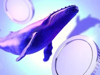 Crypto Whales Bought These Altcoins in the Third Week of July 2024 - whales, crypto, big