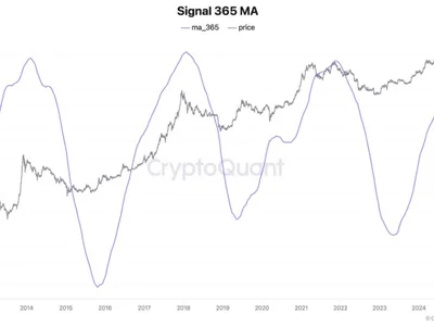 CryptoQuant CEO Calls Bitcoin Cycle Theory Obsolete as TradFi Takes Over - btc, ju, Beincrypto, ETFs, may, bitcoin, Crypto, ki