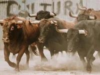Crypto’s Comeback: Are Surging Prices Here to Stay? - trump