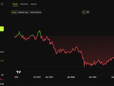 CZ Says Bear Market Money is Hunting, Social Capital Founder Says Skip AI Chips