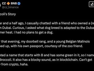 CZ’s dog’s name sparks ‘Broccoli’ memecoin frenzy - uniswap, memecoin, four, solana, Cointelegraph, raydium, Crypto, donald trump, bnb, orca, meme, one, chain, trump