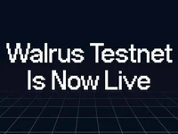 Decentralized Storage Protocol Walrus Launches Public Testnet - united