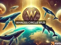 Despite whale interest, Worldcoin fails to break out – Why? - whale, wld, worldcoin