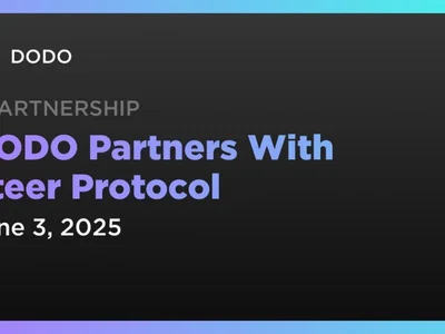 DODO Partners With Steer Protocol - dodo, token, Coindar, Crypto, ethereum, alm