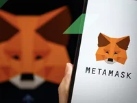 Does MetaMask Support LTC? - ltc